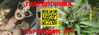 СК Краснодар
